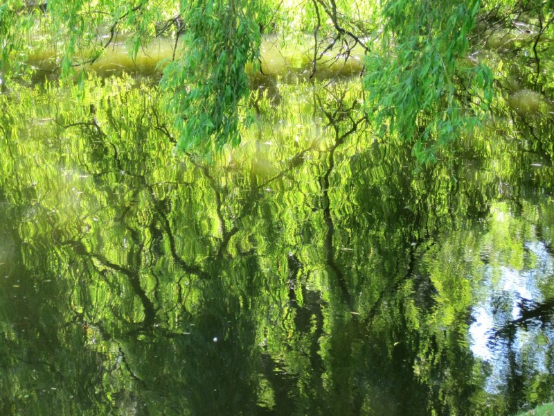 green reflections