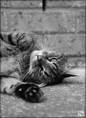 Stretching