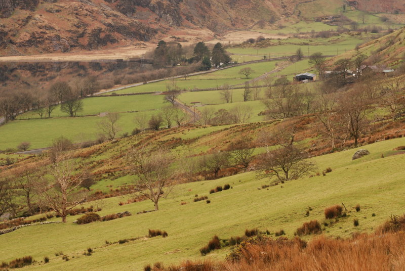 DSC_9703.JPG