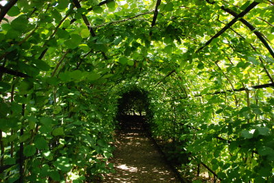 DSC_1096.JPG