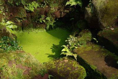 DSC_1099.JPG
