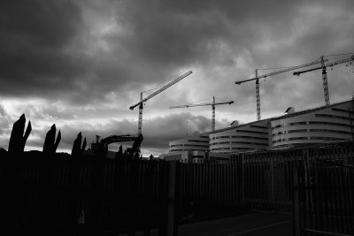 SDIM0008.jpg