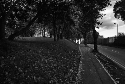 SDIM0009.jpg