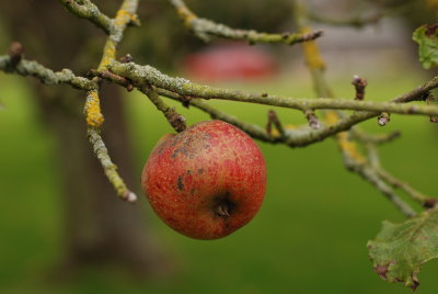 DSC_1227.JPG