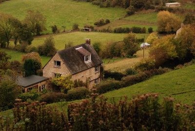 DSC_1337.JPG