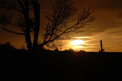 DSC_1400.JPG