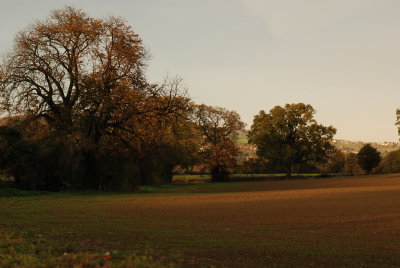 DSC_1411.JPG