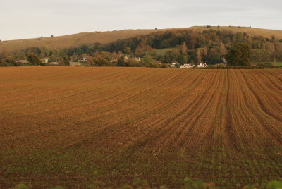 DSC_1412.JPG