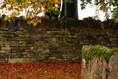 DSC_1476.JPG