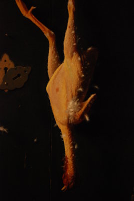DSC_1991.JPG
