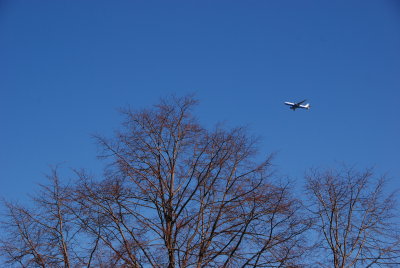 DSC_2039.JPG