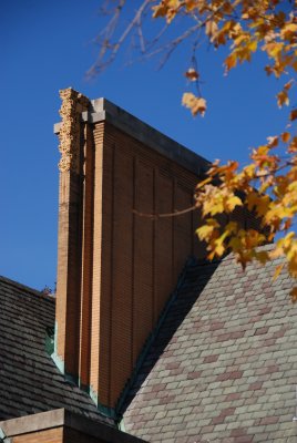 DSC_2465.JPG