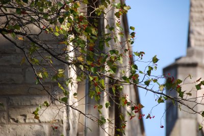 DSC_2511.JPG