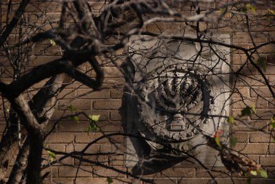 DSC_2512.JPG