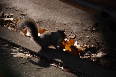 DSC_2513.JPG