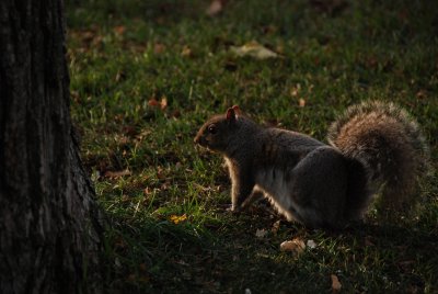 DSC_2581.JPG