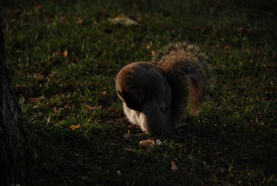 DSC_2584.JPG