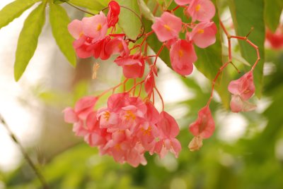 DSC_4943.JPG