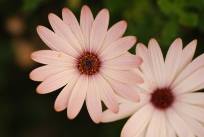 DSC_4948.JPG