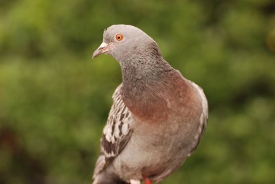 DSC_5006.JPG