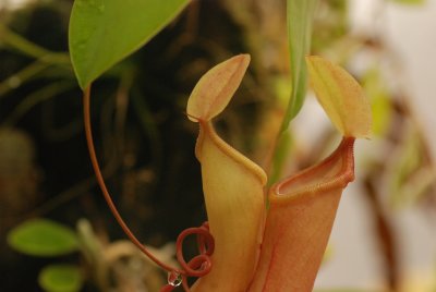 DSC_5035.JPG