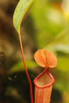 DSC_5041.JPG