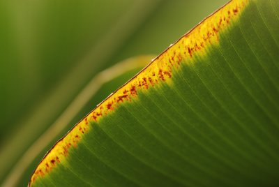 DSC_5046.JPG