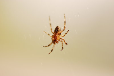 DSC_5078.JPG