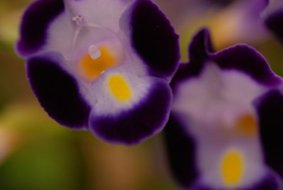 DSC_5090.JPG