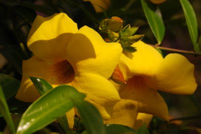 DSC_5095.JPG