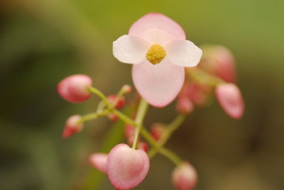 DSC_5102.JPG