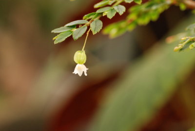 DSC_5112.JPG