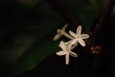 DSC_5115.JPG