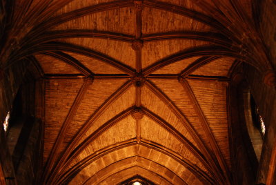 DSC_5343.JPG