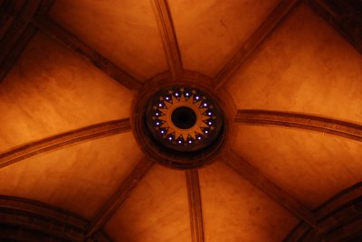 DSC_5355.JPG