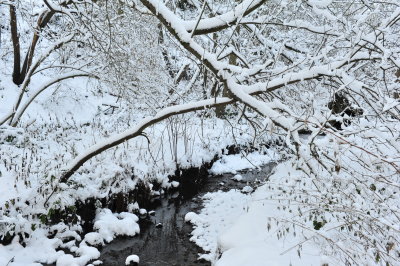 DSC_8178.JPG