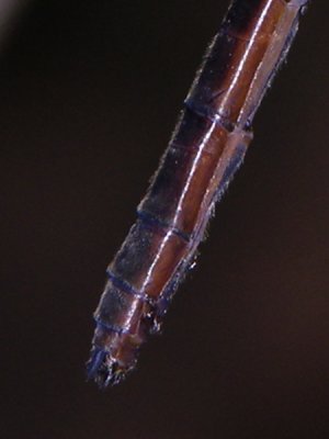 g1/69/756269/3/94144737.mJ13RBGG.jpg