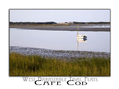 cape cod 271.jpg