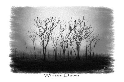 winter dawn-bw.jpg