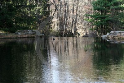 Hickory Run Pond-4815