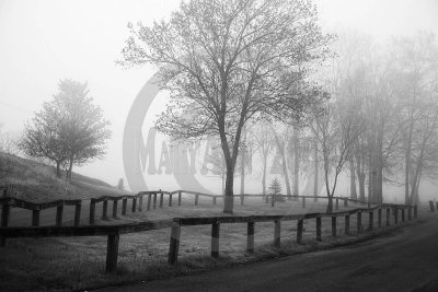 spring mists-4957bw copy.jpg