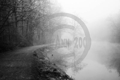 spring mists-4974bwa copy.jpg