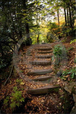 trail stairs-1434 copy.jpg