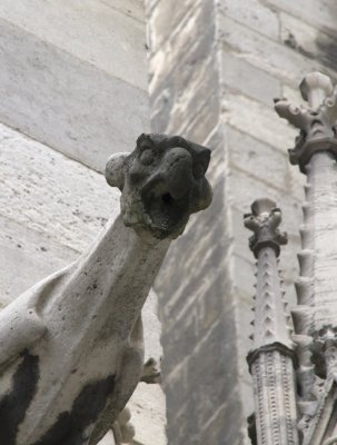 Cathedrale  Notre-Dame - gargoyle