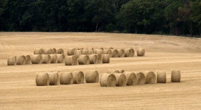 Road Tour of Normandie