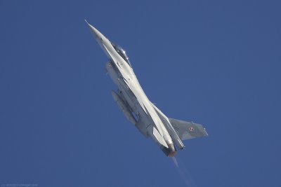 IMG_99672.jpg