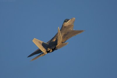 IMG_8233.jpg