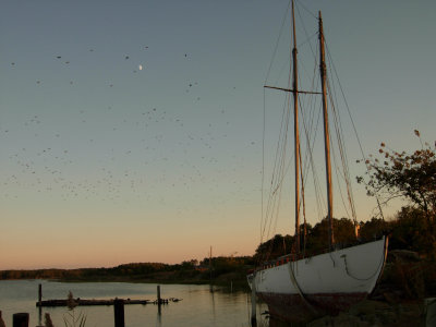 Dscn54420001beached boat sunset moon birds horizontal 2.JPG