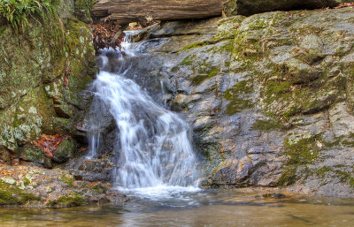 _MG_4928_Patapsco Big.jpg