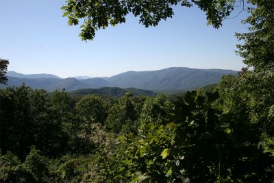 IMG_7738.jpg